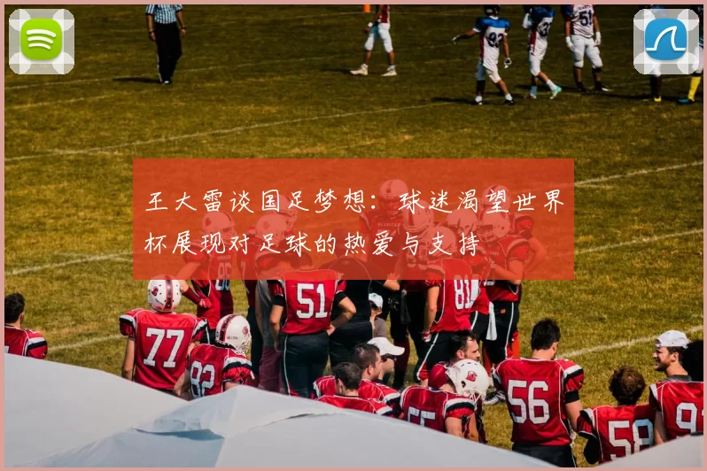 王大雷谈国足梦想：球迷渴望世界杯展现对足球的热爱与支持